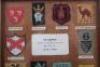 Framed Display of WW2 Cornwall Home Guard Battalion Formation Signs - 3