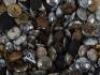 Large Quantity of Police Buttons - 4