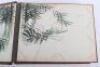 Superb Postcard Album from China and the Far East Circa 1900 - 3
