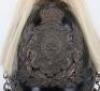 Queens Own Royal Yeomanry (Staffordshire) 1871 Pattern Dress Helmet - 2