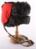 Royal Horse Artillery Officers Busby - 3