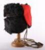 Royal Horse Artillery Officers Busby - 5