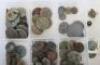 An Assortment of Tunic and Clothing Buttons Excavated from Waterloo - 2