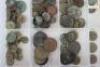 An Assortment of Tunic and Clothing Buttons Excavated from Waterloo - 3
