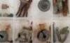 An Assortment of Items Excavated from Waterloo - 6
