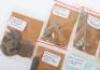An Assortment of Relics Found at Hougoumont Farm Waterloo Battlefield - 2