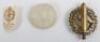 WW2 German SA Sports Badge Grouping - 5