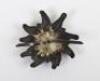 Third Reich Veterans Association DRKB Edelweiss Emblem Insignia - 2