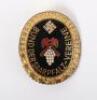 Rare Third Reich Bund der Saarpfalz Vereine Badge