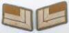 Pair of Third Reich NSDAP Ortsgruppe Hauptstellenleiter Collar Tabs