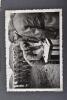 WW2 German Waffen-SS Leibstandarte-SS Adolf Hitler (L.A.H) Photograph Album - 9