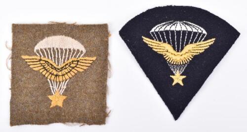 2x Variations of WW2 Free French Parachute Qualification Insignias
