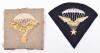 2x Variations of WW2 Free French Parachute Qualification Insignias - 2