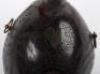 Charming Coconut Flask Souvenir &lsquo;Bugbear&rsquo; of the 19th Regiment of Foot (the 1st York North Riding Regiment) c. 1796-1820 - 6