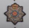Hampshire Regiment Badges - 2