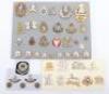 Military Cap Badges & Collar Badges etc,