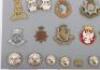 Military Cap Badges & Collar Badges etc, - 7