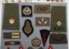 Military Badges and Buttons - 5
