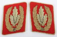 Pair of Collar Tabs of High-Ranking SA Official