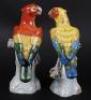 Two Dresden porcelain parrots - 2