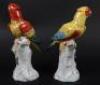Two Dresden porcelain parrots - 3