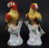Two Dresden porcelain parrots - 4