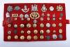 5x Display Boards of British Regimental Cap Badges, Enamel Badges, Buttons and Insignia - 5