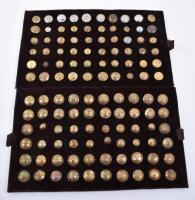2x Display Boards of British Regimental Tunic Buttons