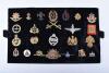 3x Display Boards of British Regimental Cap Badges and Shoulder Titles - 2