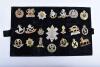 3x Display Boards of British Regimental Cap Badges and Shoulder Titles - 3