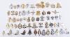 Selection of British Regimental Anodised Cap Badges - 2