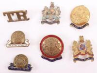 Grouping of WW1 Training Reserve Lapel Badges