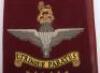 EIIR 3rd Battalion Parachute Regiment Flag Bearers Full Dress Baldrick / Sash - 3