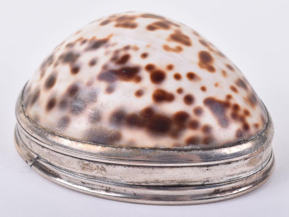 Shell Snuff Box England A Georgian cowrie shell snuff box