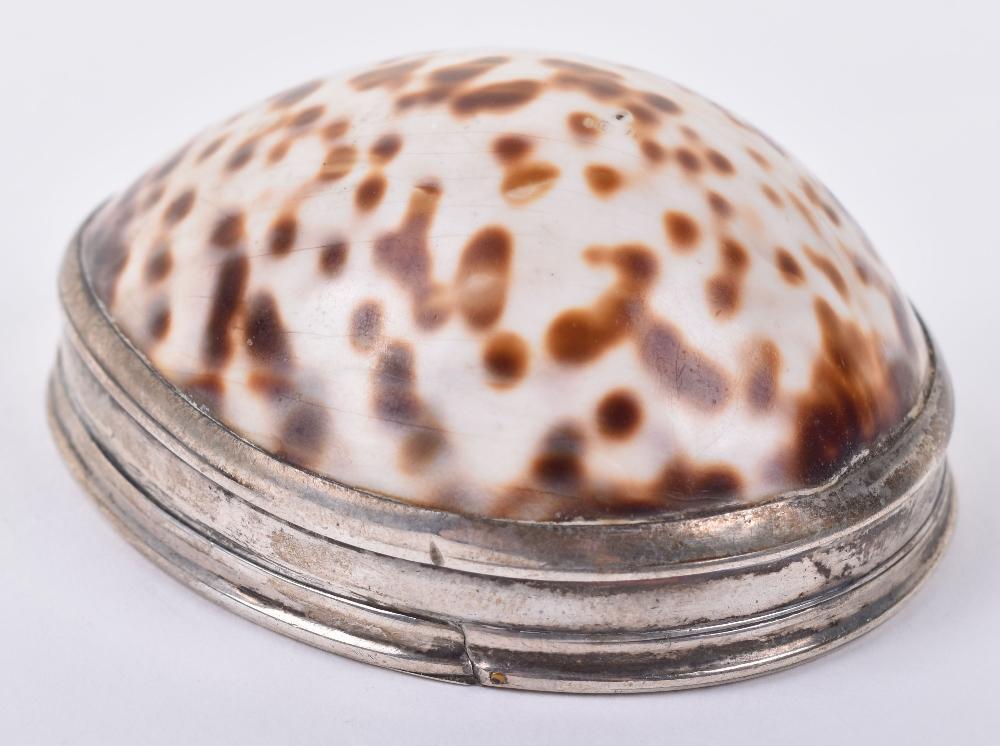 Shell Snuff Box England A Georgian cowrie shell snuff box