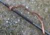 WW1 Imperial German Bavarian Uhlan / Cavalry Lance with Pennant - 4