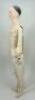 Large early Papier- mache shoulder head doll, French circa 1850,