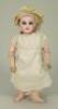 Rare Emile Jumeau size 2 bisque head Bebe, French circa 1880,