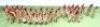 CBG Mignot Napoleonic First Empire Dutch Grenadiers of the Imperial Guard