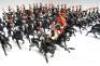 Britains 'two-eared' Royal Horse Guards - 6