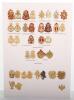 4x Display Boards of Danish Military Badges - 3