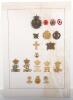 4x Display Boards of Danish Military Badges - 5