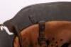 WW2 German / Austrian M-16 Transitional Steel Combat Helmet with Battle Damage - 14