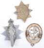 Three Belfast Harbour Police Cap Badges - 2