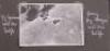 WW2 German Luftwaffe Photograph Album - 18