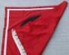 Third Reich Hitler Youth / B.D.M (Bund Deutscher M&auml;del) Podium Banner - 9