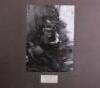 Large Format Original Photographs of the Waffen-SS and German Army from Official War Photographer - 6