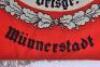 Third Reich Reichstreubund (League of Ex Career Soldiers) Standarte / Flag - 5