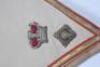 Victorian Shabraque of a Lieutenant Colonel of the Infantry - 2