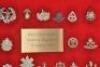 Large Display of British Infantry of the Line Cap Badges - 3